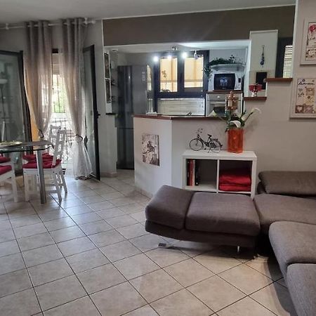 Chic & Relax Apartment リミニ エクステリア 写真